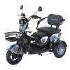 Трицикл аккумуляторный Forte Family-WN1060 Серый