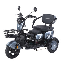 Трицикл аккумуляторный Forte Family-WN1060 Серый