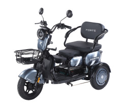 Трицикл акумуляторний Forte  Family-WN1060 Сірий 