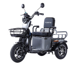 Трицикл акумуляторний Forte  CARGO-WN1072 Сірий