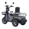Трицикл акумуляторний Forte CARGO-WN1072 Сірий