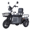 Трицикл акумуляторний Forte CARGO-WN1072 Сірий