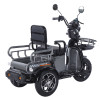 Трицикл акумуляторний Forte CARGO-WN1072 Сірий