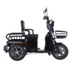 Трицикл акумуляторний Forte CARGO-WN1072 Чорний
