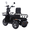 Трицикл акумуляторний Forte CARGO-WN1072 Чорний