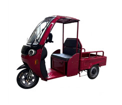 Трицикл вантажний акумуляторний FORTE DW1200-1-1 Червоний