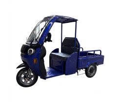 Трицикл вантажний акумуляторний FORTE DW1200-1-1 Синій