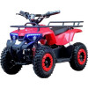 Квадроцикл аккумуляторный FORTE ATV1000RB красный
