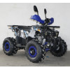 Квадроцикл FORTE ATV125L синий