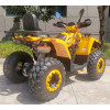 Квадроцикл FORTE Shark II 200 жовтий