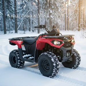 НОВИНКА: квадроцикл MIKILON ATV230 Червоний