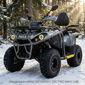 НОВИНКА: квадроцикл MIKILON HARDY 200 PRO MAX U38 cірий
